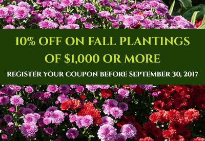 Tommy Pollina Landscape will be happy to develop a phased landscape installation plan.  Please call (847) 698-6868 or contact...