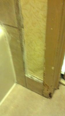 12/31/11  mold and whatever else between the shower and the door. The bathroom situation 2.