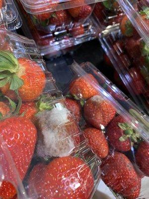 Moldy strawberries they put out for shoppers .