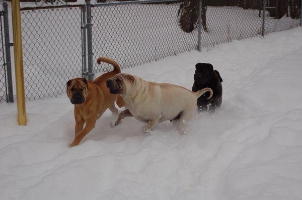 Pocono, Tucker and Kacie