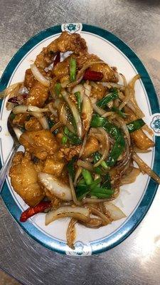 Mongolian Fish