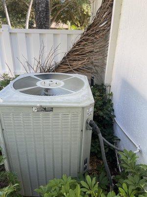 Old Trane system