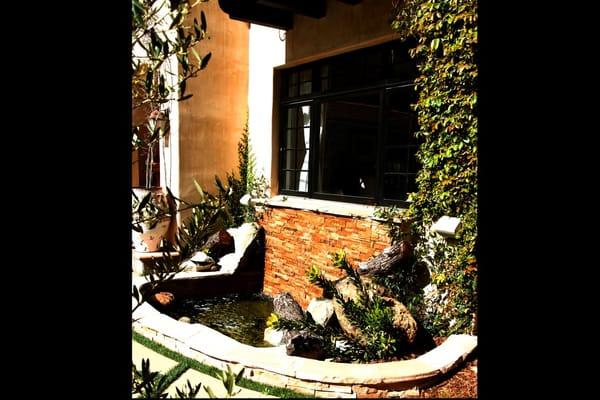 Weeping wall and turtle pond.