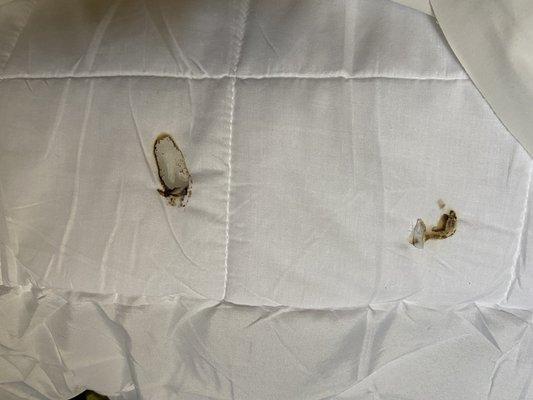 Burns in the mattress pad. Who knows if it was cigarettes or meth pipes.