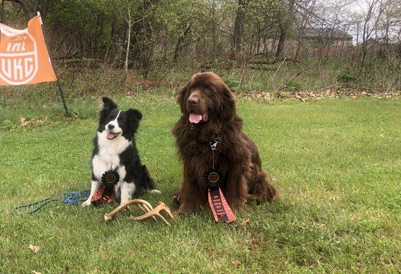 The big fluffy brown one is my dog, the other is wife's that sometimes also accompanies us