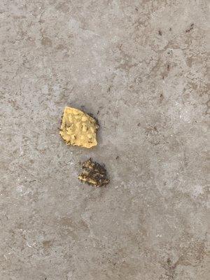 Ants and old food on patio that probably hadn't been cleaned for 2 hours or more