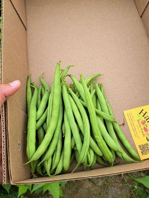 Green beans 2.50 lbs