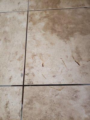 grout stained from leaking rotting garbage bag