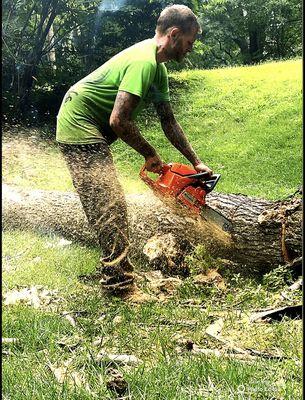 Tree Work