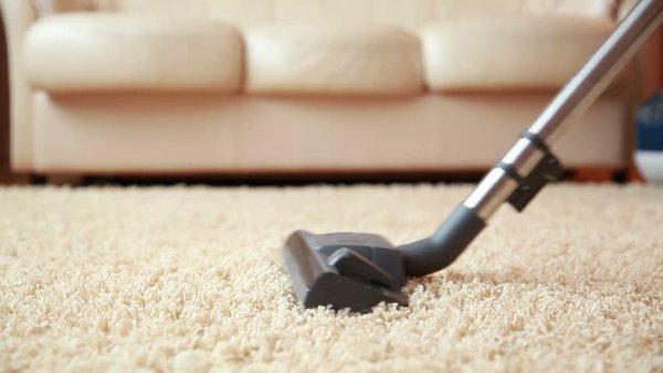 Your carpets will be fresh and soft.