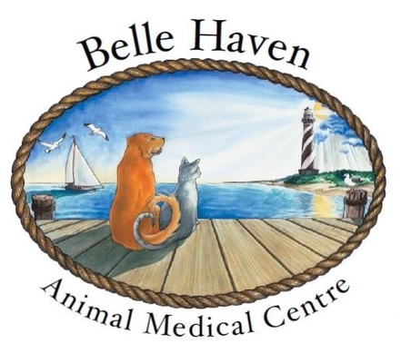 Belle Haven Animal Medical Centre