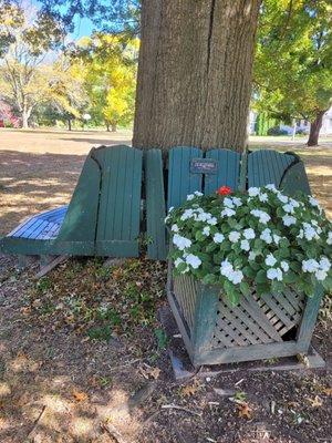 Bench around tree