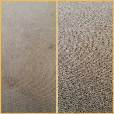 Before & after my carpets look brand new thank you Gomez Chem Dry