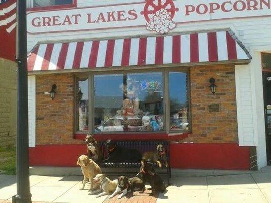 Some patient 4-legged customers waiting for the store to open!