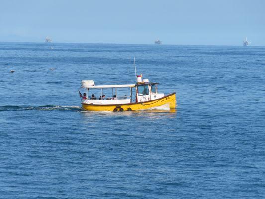 water taxis