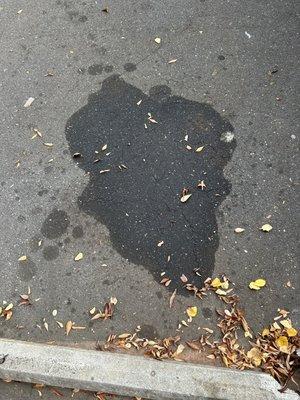 Oil leak at my work parking spot