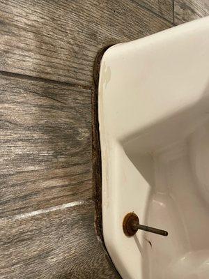 Urine stained toilet and grout