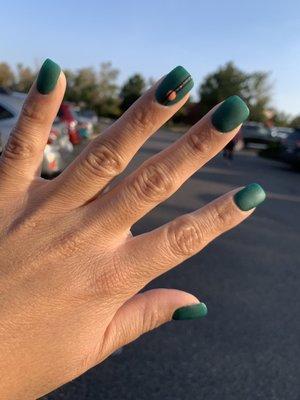 Dip powder nails, matte, with nail design.