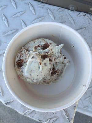 Petunia's Coconut Mint Chip Whoopie Pie Ice Cream. It is non-dairy & non-gluten...coconut based.