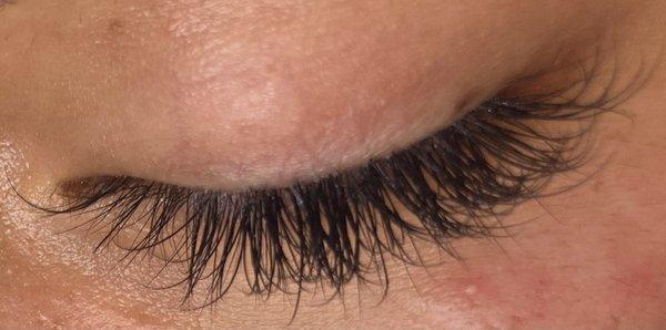 Classic lash extensions