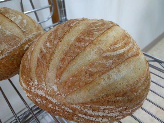 Sourdough Large Round