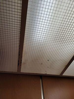 Elevator ceiling