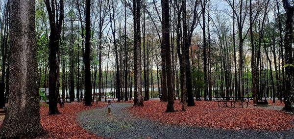 Spring camping. Chilly nights, warmer days, and brilliant colors