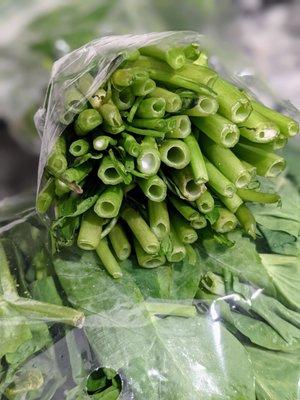 Kong Xin Cai a.k.a. ong choy, pak boong, water spinach, water morning glory ($3.99/lb, $3.79).