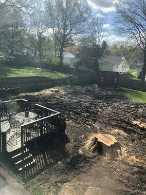 The yard is destroyed and the side fence was knocked down