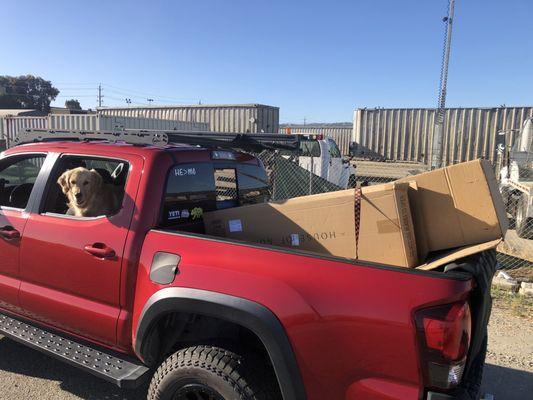 Hauling trash to the dump with my dog Lola