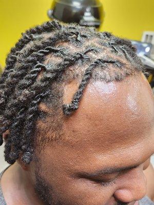 2 strand twist locs