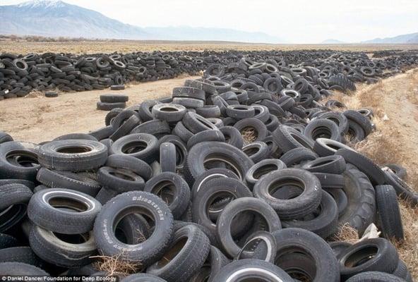 Tires pose a danger to the environment because of dangerous toxins released when they decompose or are incinerated...RECYCLE!