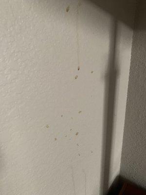 Gross drips on wall next to nightstand