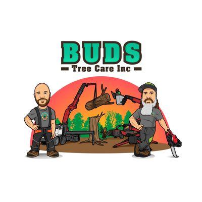 Buds Tree Care Champaign Illinois Certified arborist