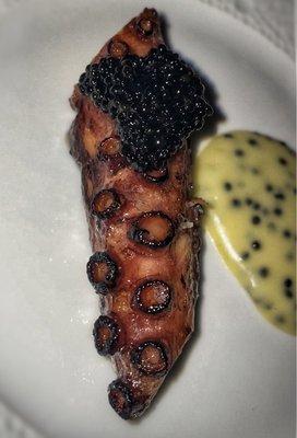 Spanish Octopus