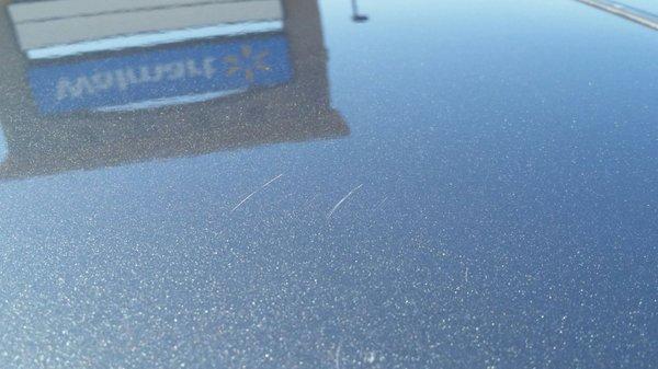 Carwash scratches on roof