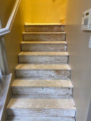 Stairs after using DeWalt plier to pull up all the staples from the carpet