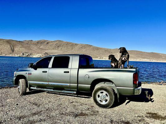 Dodge 2500 megacab after tint