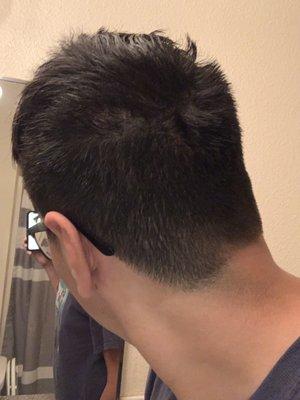 Me showing you guys that there is a bald spot from sport clips