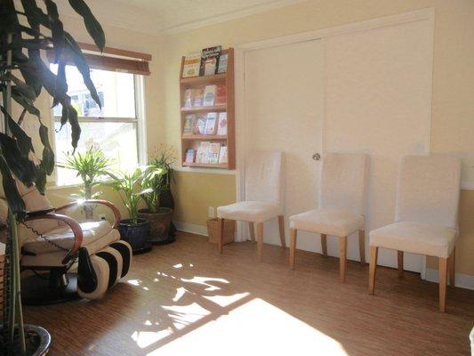 Reception room with free massage chair, waterfall, ambient music and plenty of warm sunshine.