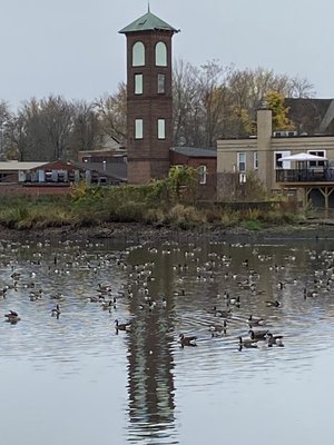 View of the pond which is surrounded by many, many benches.