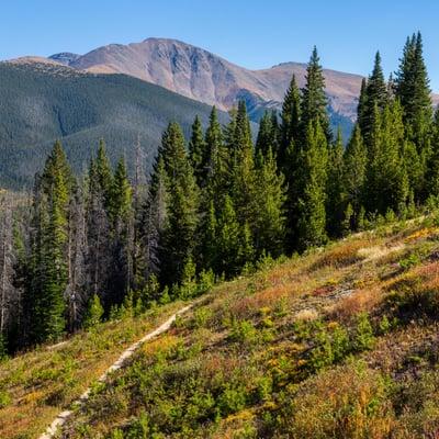 Navigate through the beautiful Colorado terrain!  Photo: Chris Wellhausen