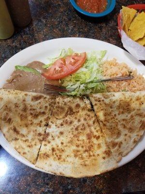 Asada quesadilla