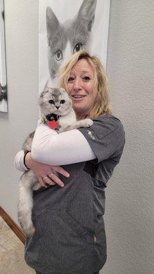 Our little scottishfold friend Sosueme in for a spay today!