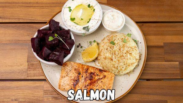 Salmon