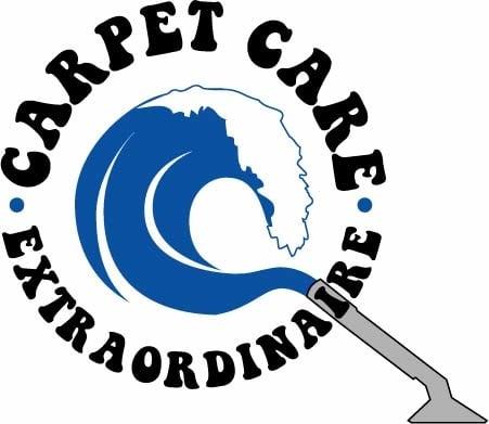 More than just a carpet cleaner?