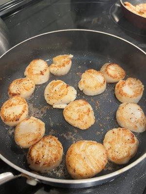 Scallops from Gays!!   Huge