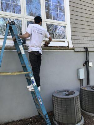 Westport Painting & Renovation