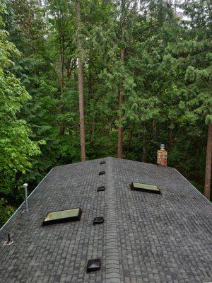 Roof & Gutter Cleaning Bellingham, WA. Roof Cleaning and Moss Removal throughout Whatcom County, including Sudden Valley, Ferndale & Lynden.