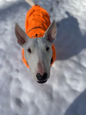 Snow day play!